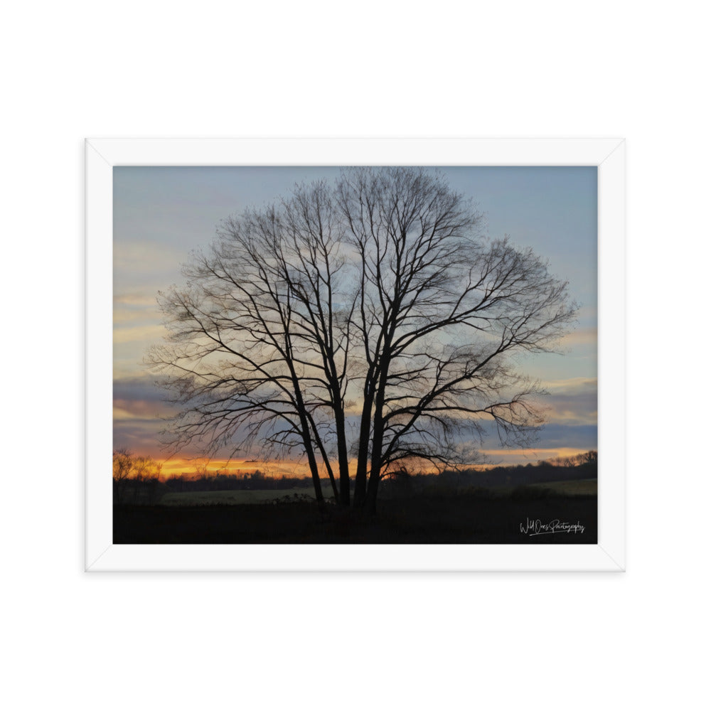 Setting Sun Tree - Framed Paintography
