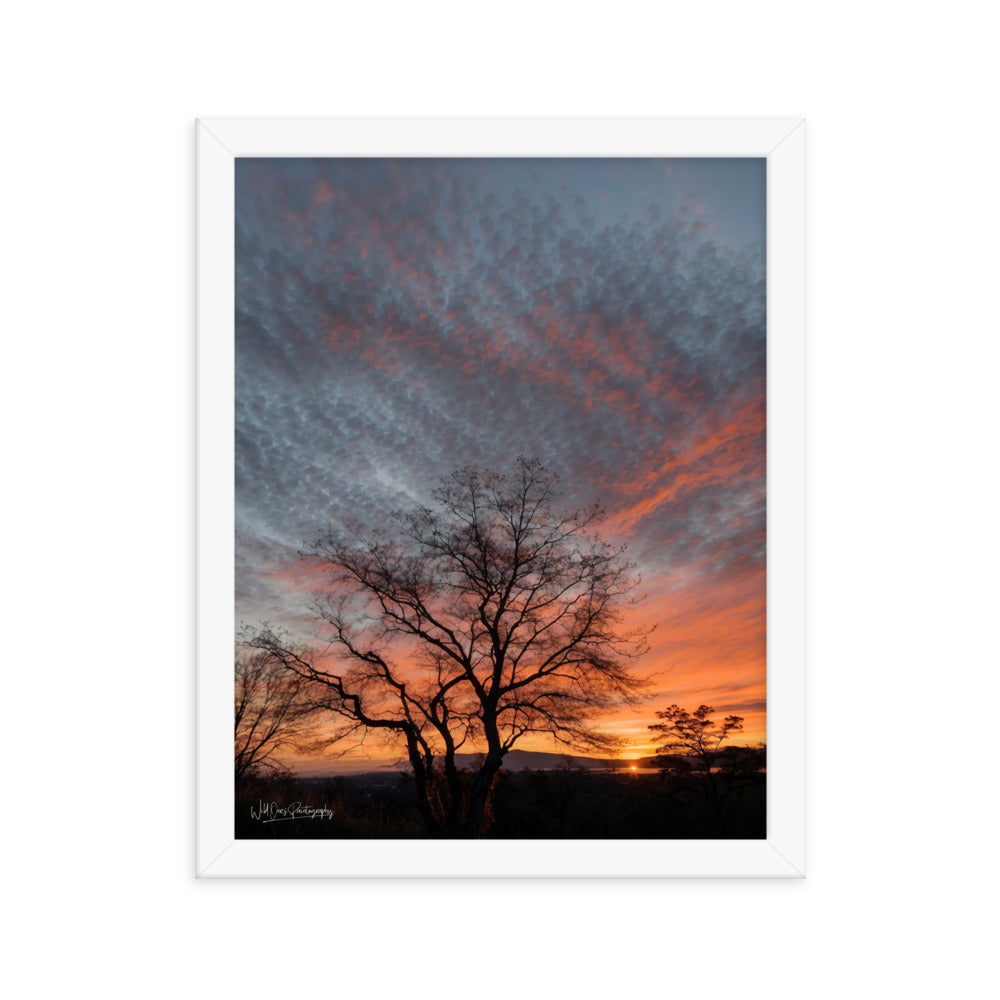 Scenic Sunset - Framed Paintography