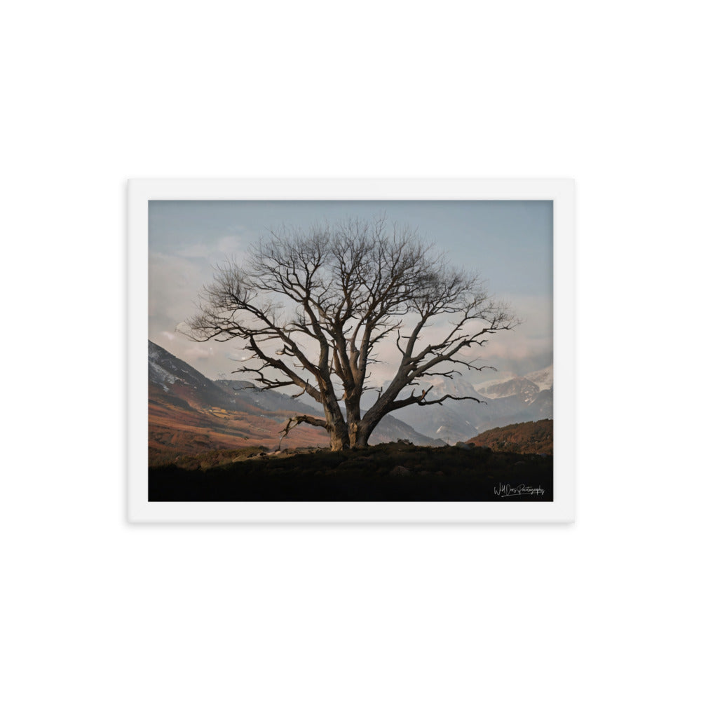 Withstand Time - Framed Paintography
