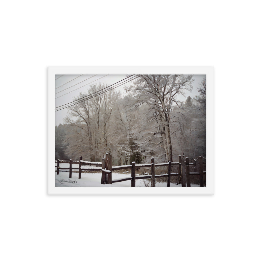 Winter Wonder - Framed Paintography