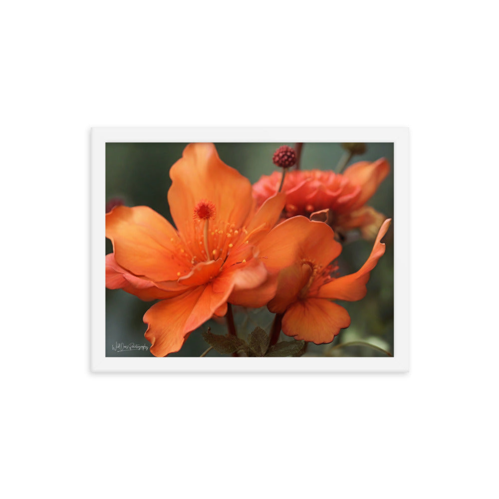 Tiger Lily - Framed Paintography