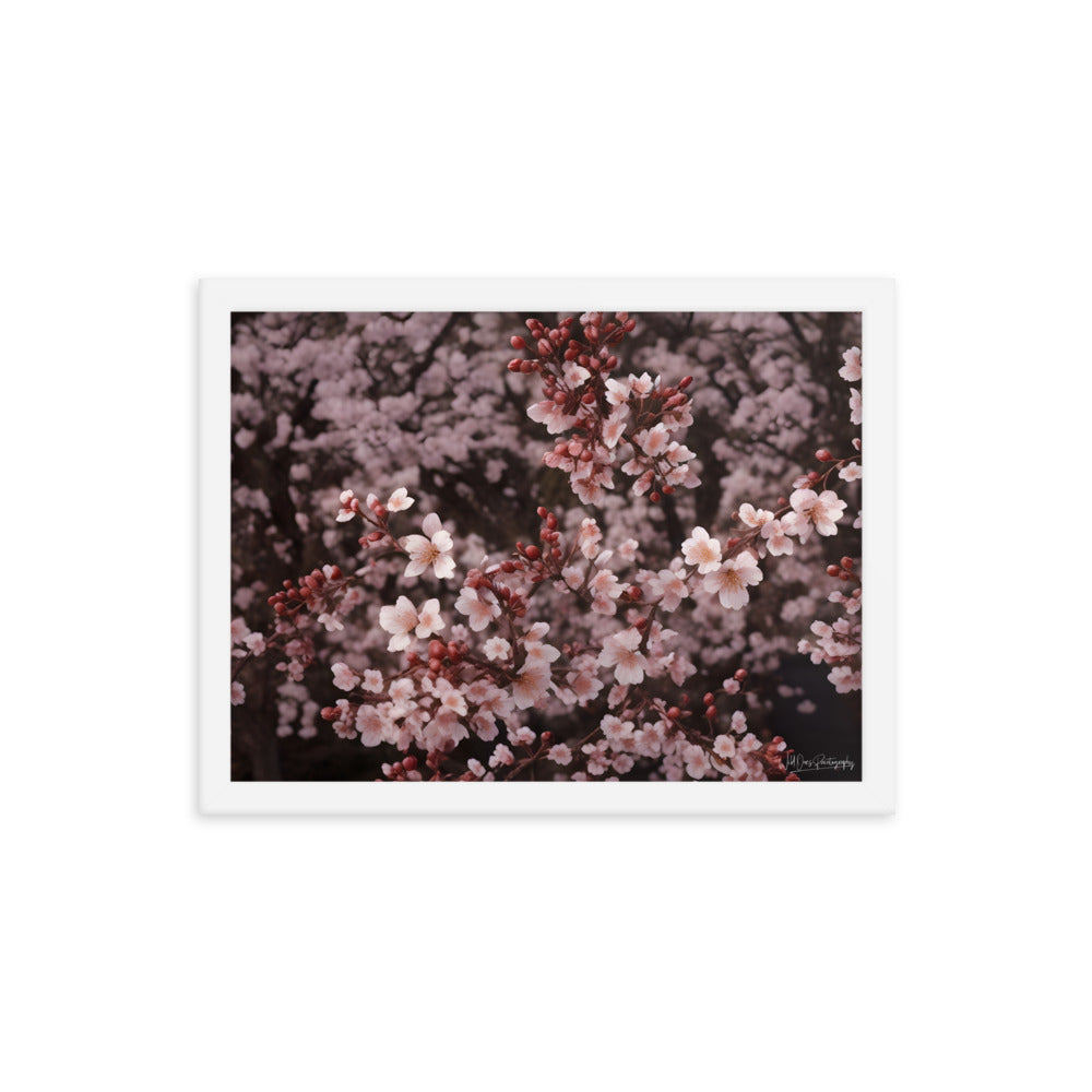 Spring Blossom - Framed Paintography