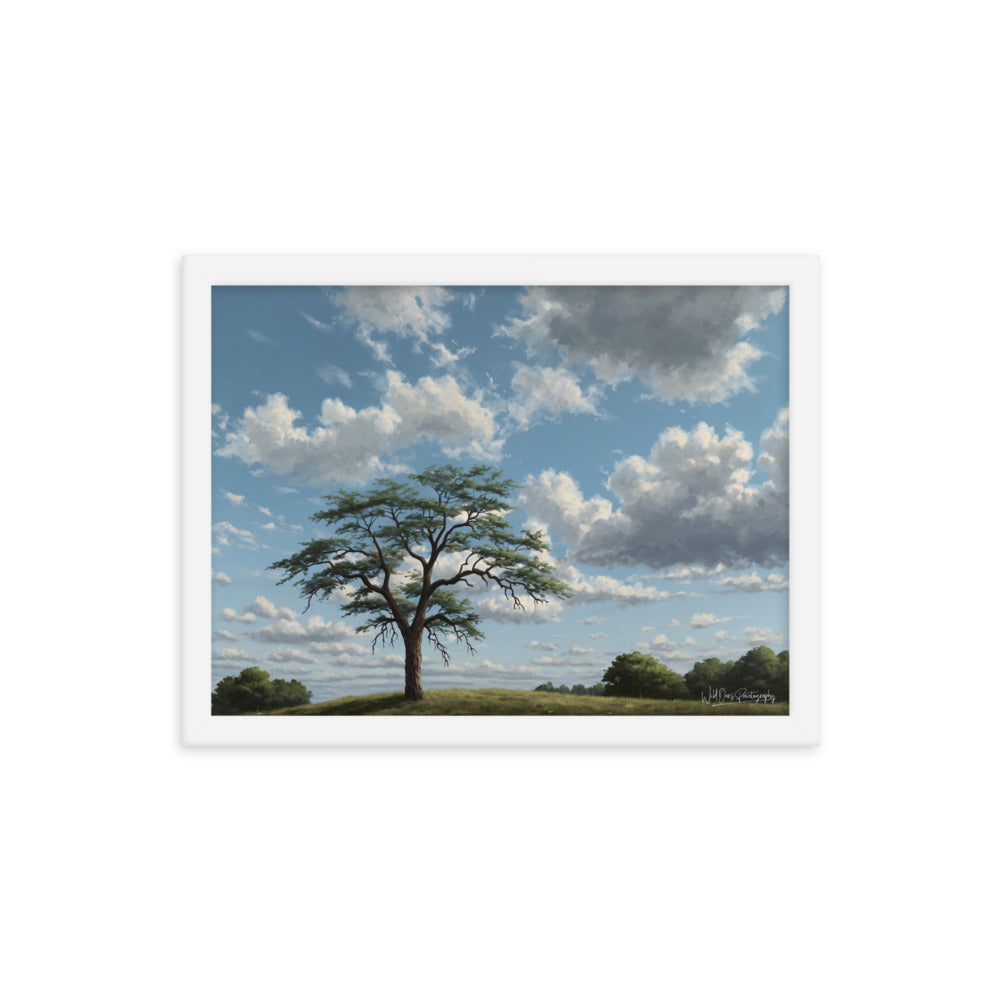 Spring Breeze - Framed Paintography