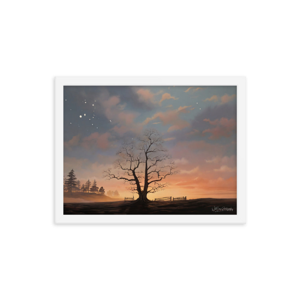 Split Tree Sunset - Framed Paintography