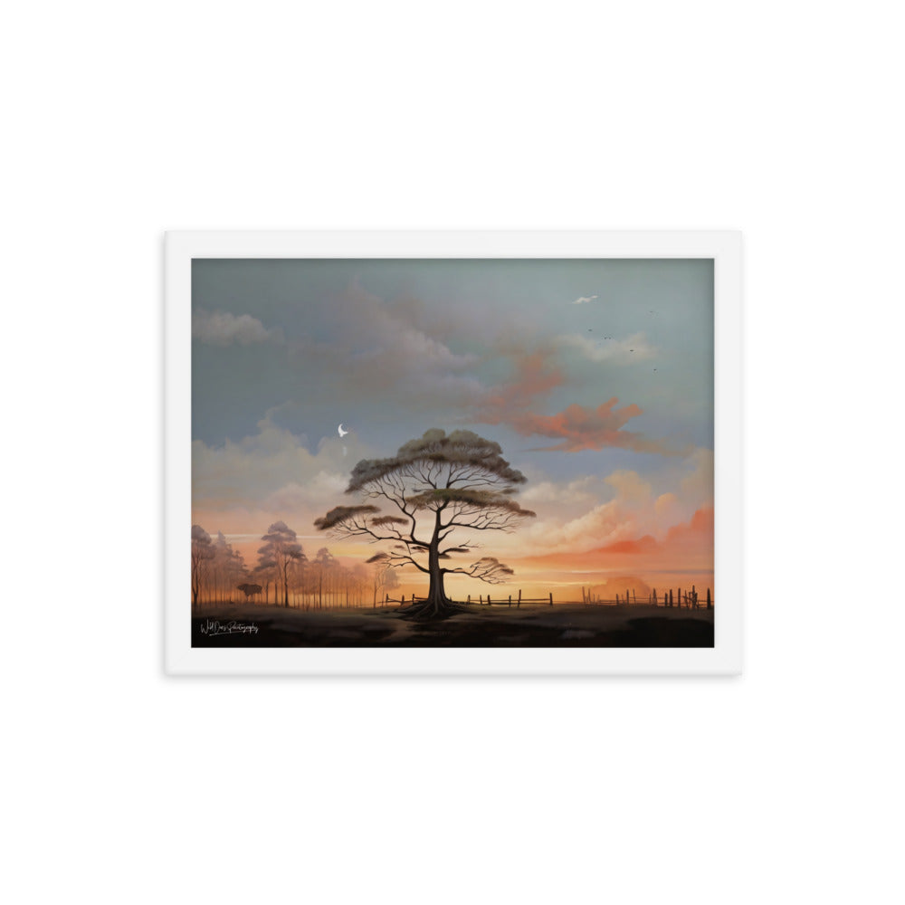 Solo Canopy Sunset - Framed Paintography