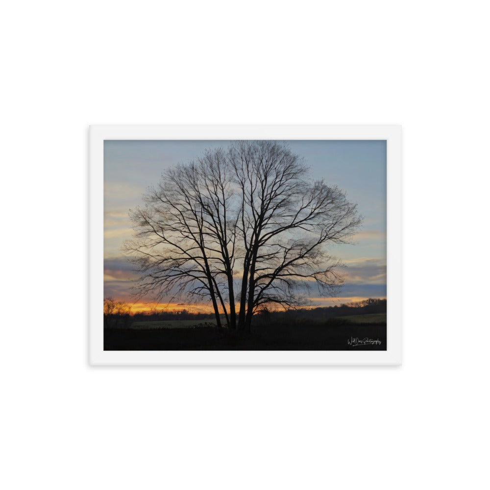 Setting Sun Tree - Framed Paintography