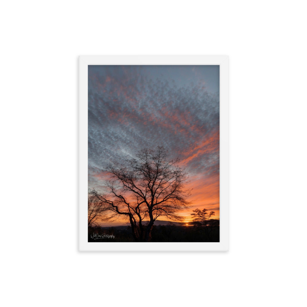 Scenic Sunset - Framed Paintography