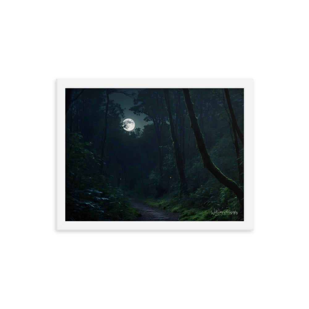 Moonlit Pathway - Framed Paintography