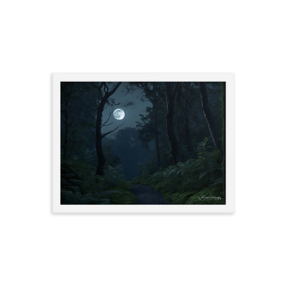 Moonlit Way - Framed Paintography