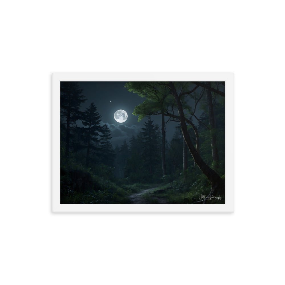 Moonlit Path - Framed Paintography