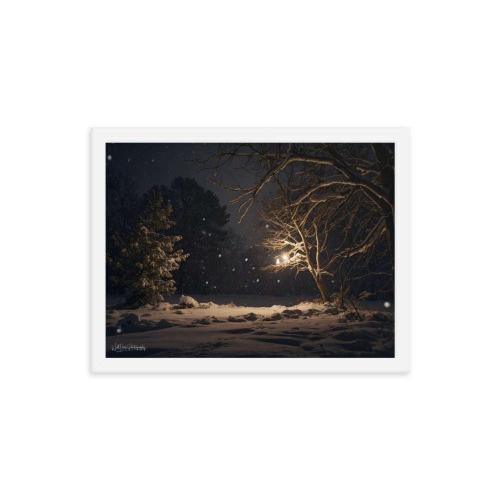 Midnight Snow - Framed Paintography