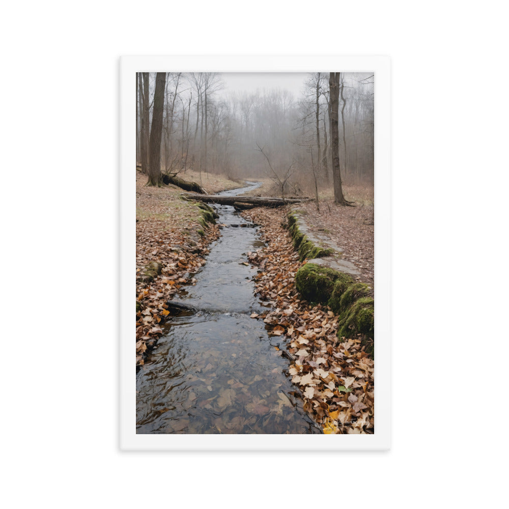 Woodland Stream - Framed Paintography