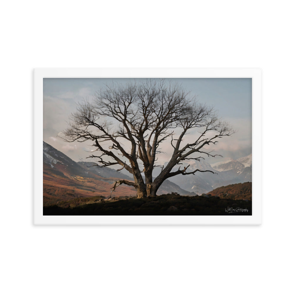 Withstand Time - Framed Paintography