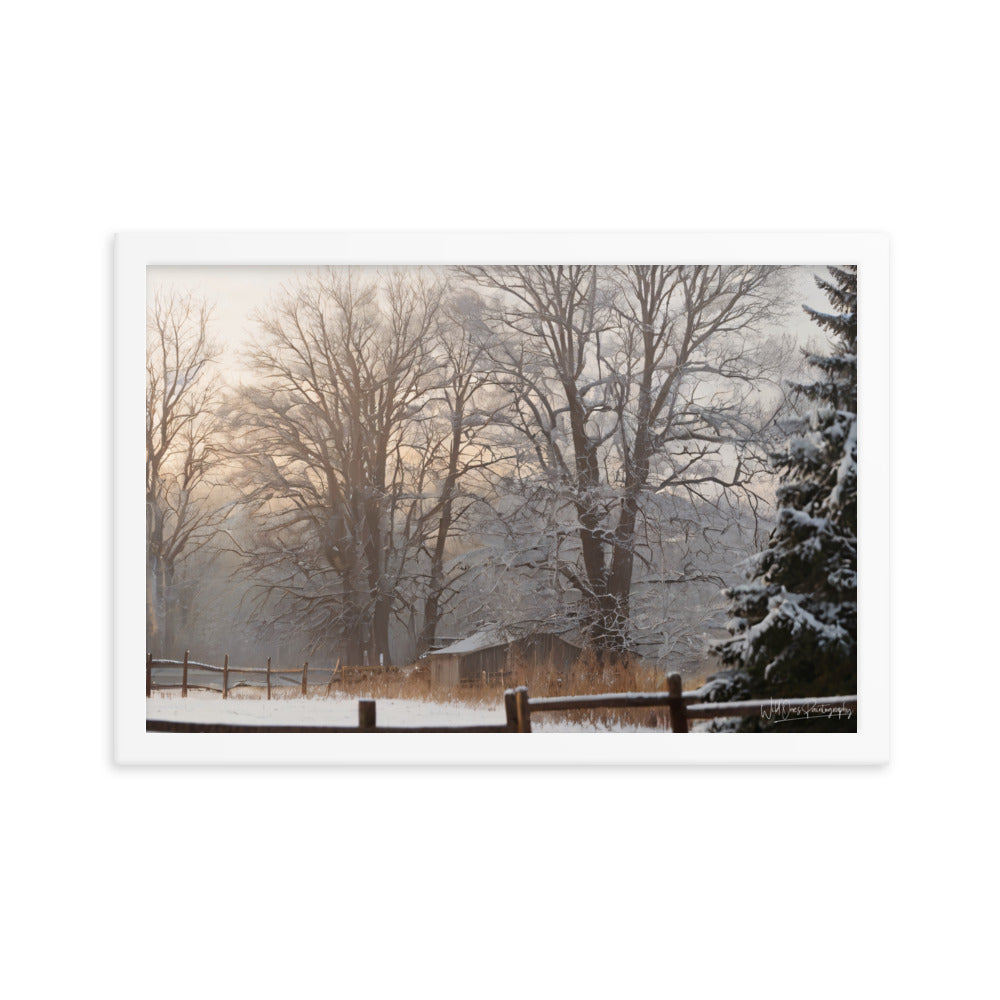 Winter Wonder Shed - Framed Paintography