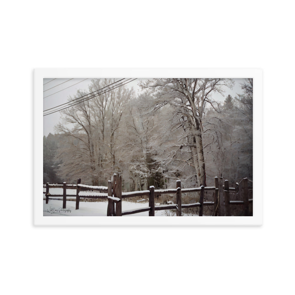 Winter Wonder - Framed Paintography