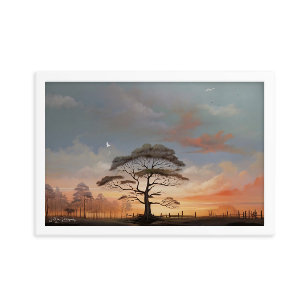 Solo Canopy Sunset - Framed Paintography