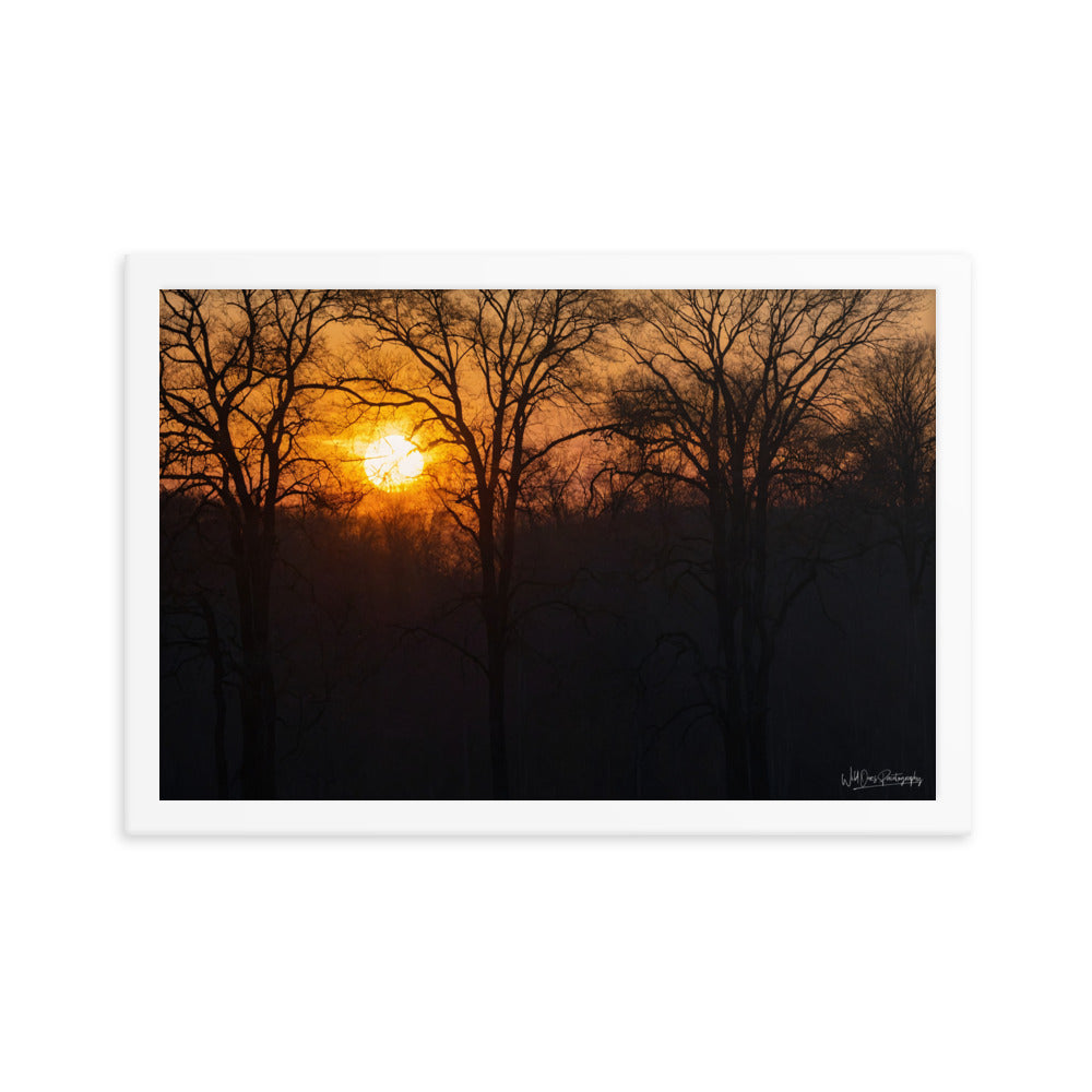 Setting Sun - Framed Paintography