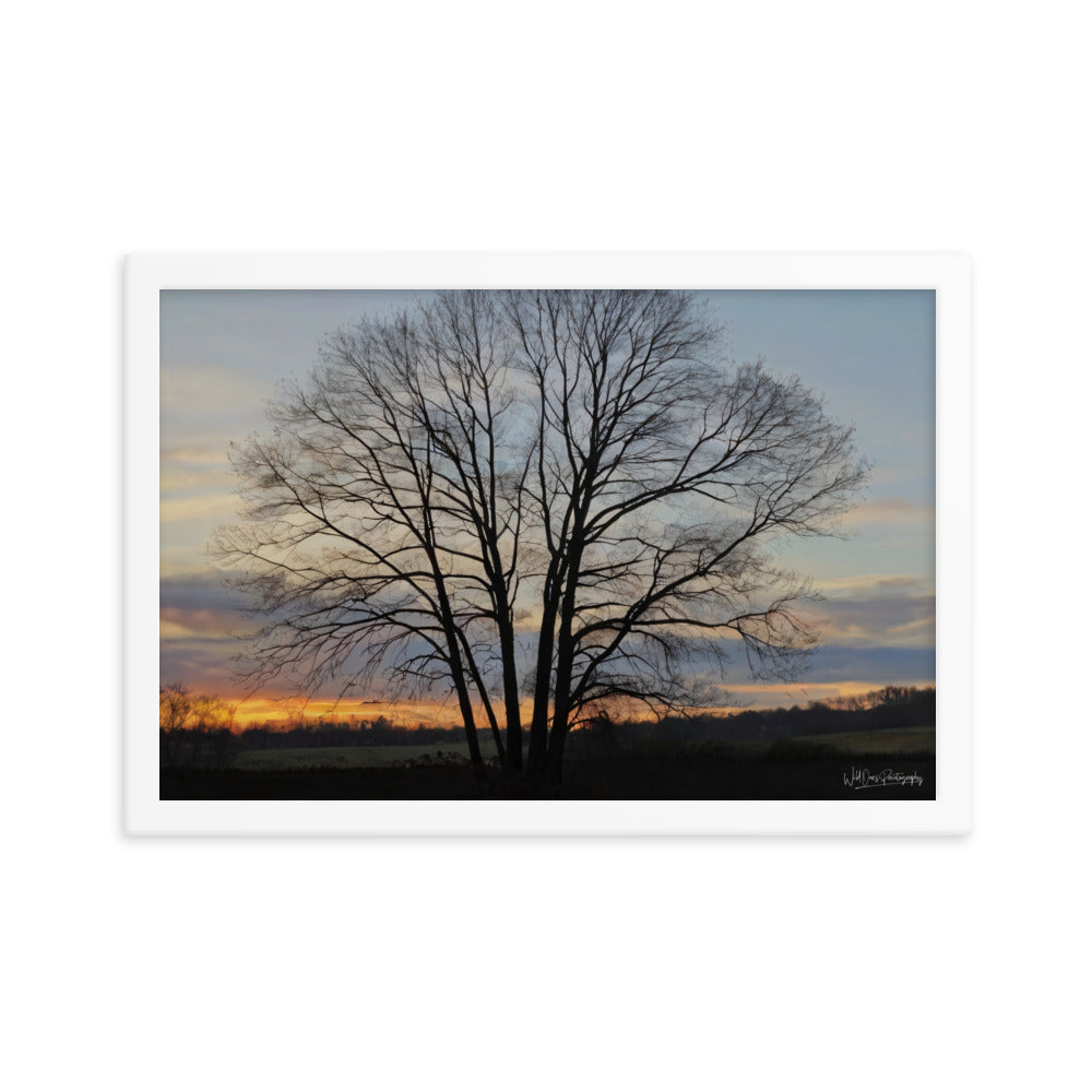 Setting Sun Tree - Framed Paintography