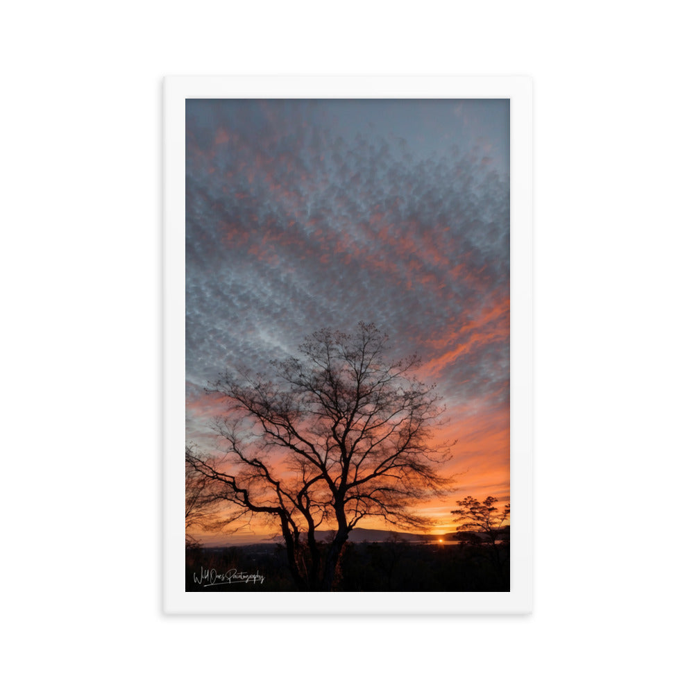 Scenic Sunset - Framed Paintography