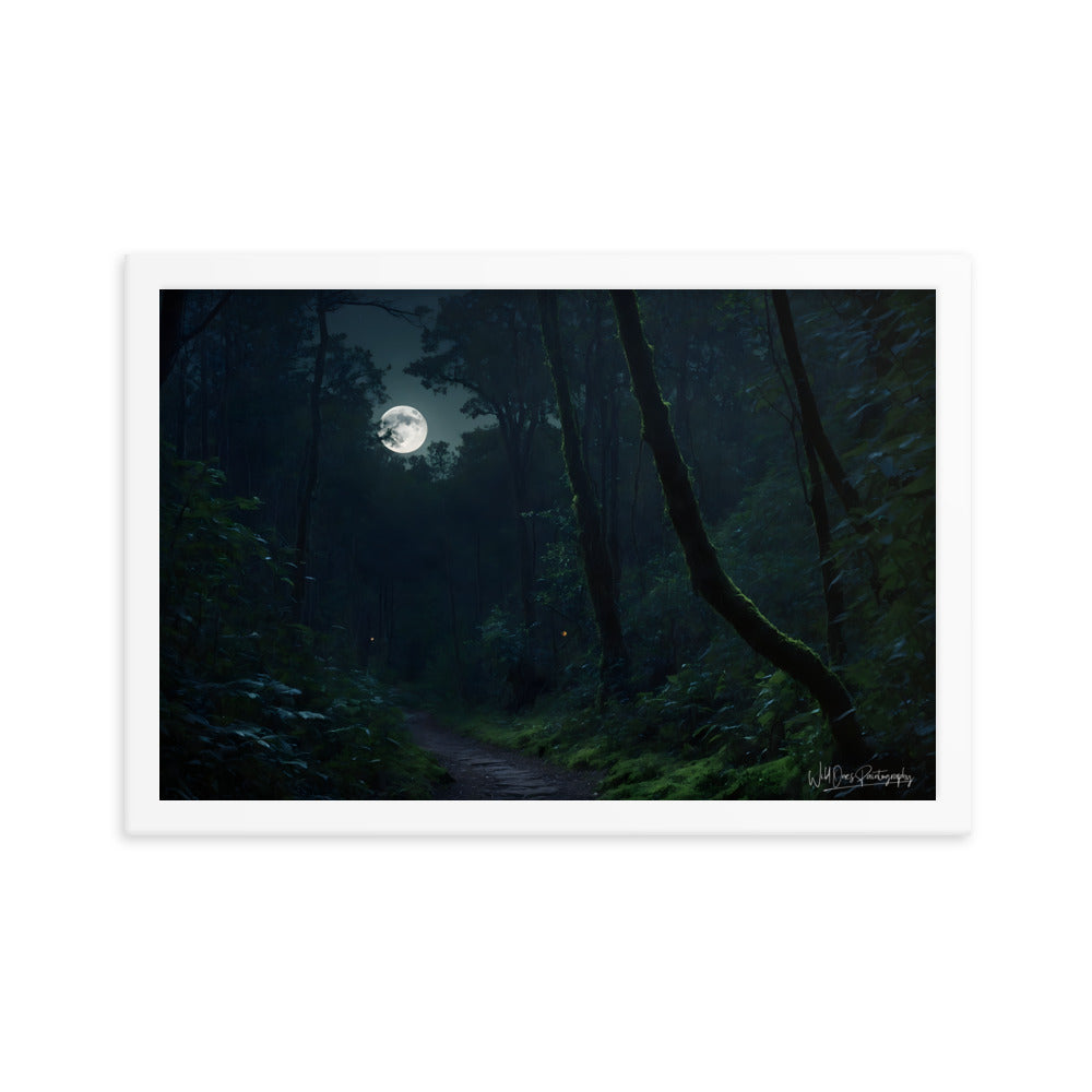 Moonlit Pathway - Framed Paintography