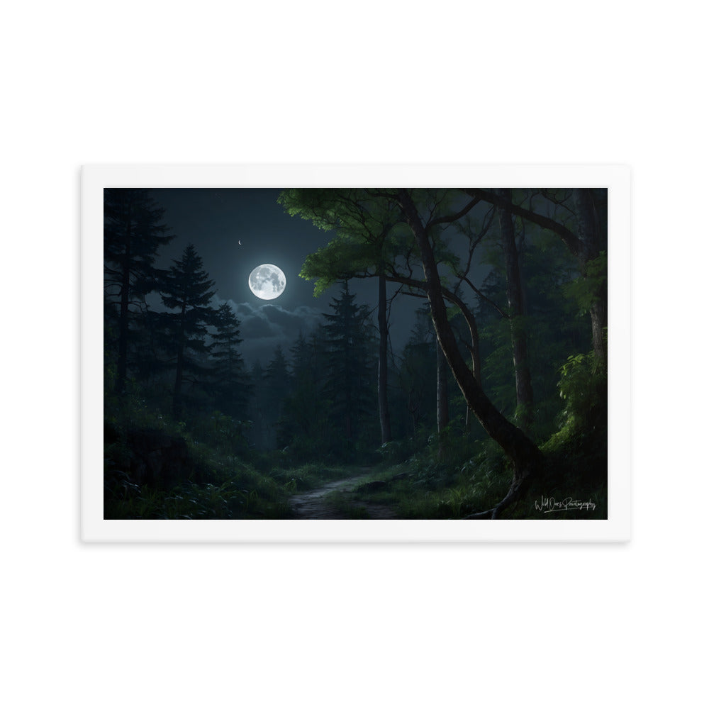 Moonlit Path - Framed Paintography