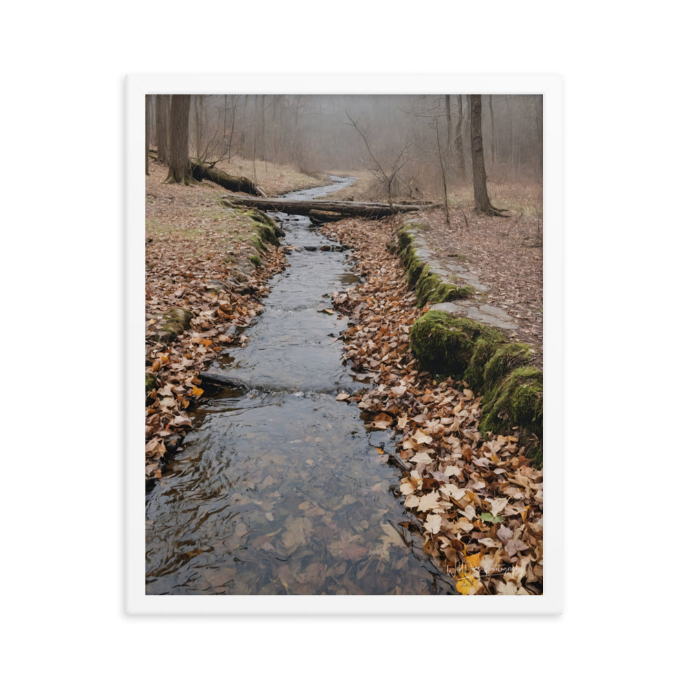 Woodland Stream - Framed Paintography