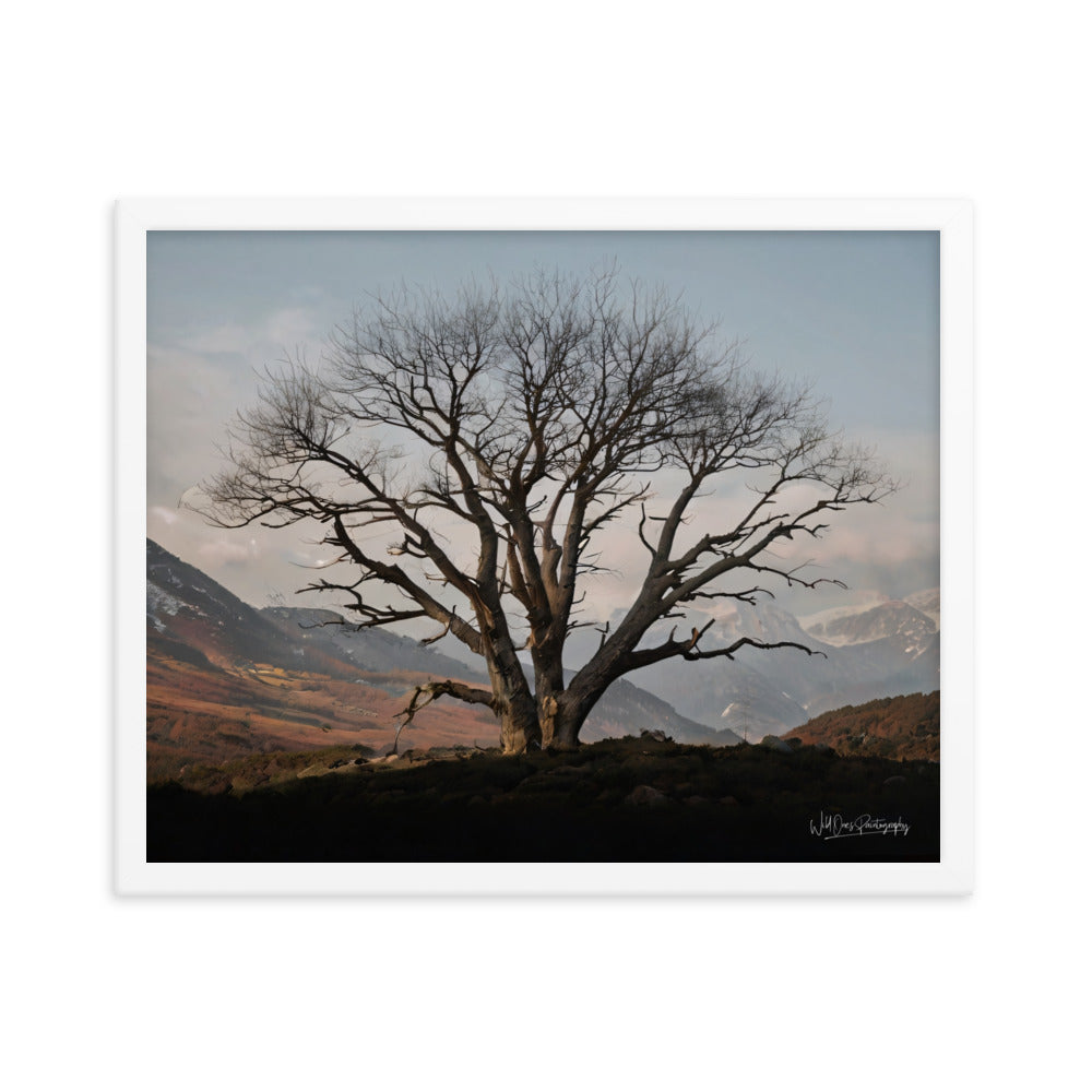 Withstand Time - Framed Paintography