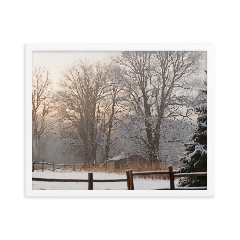 Winter Wonder Shed - Framed Paintography