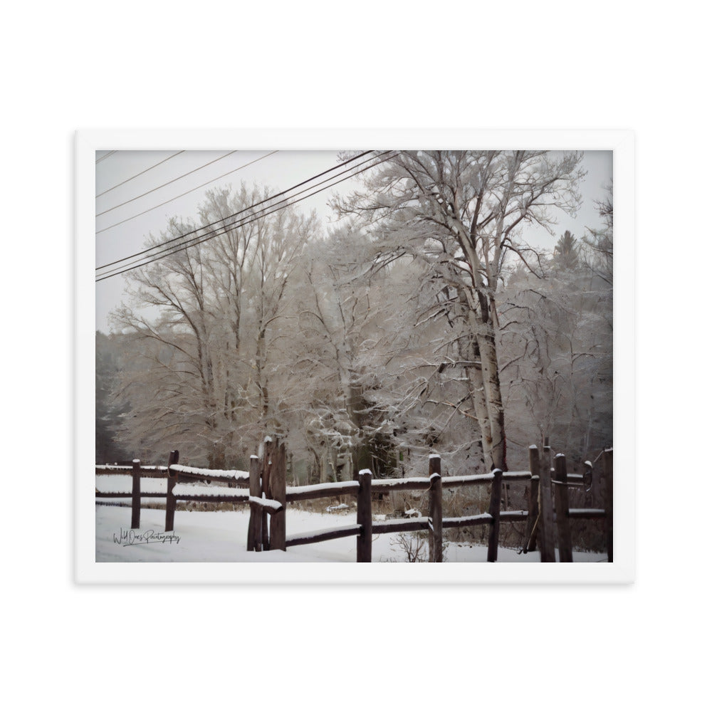 Winter Wonder - Framed Paintography