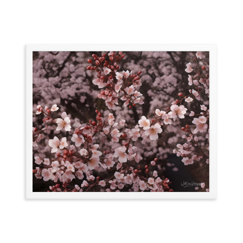 Spring Blossom - Framed Paintography