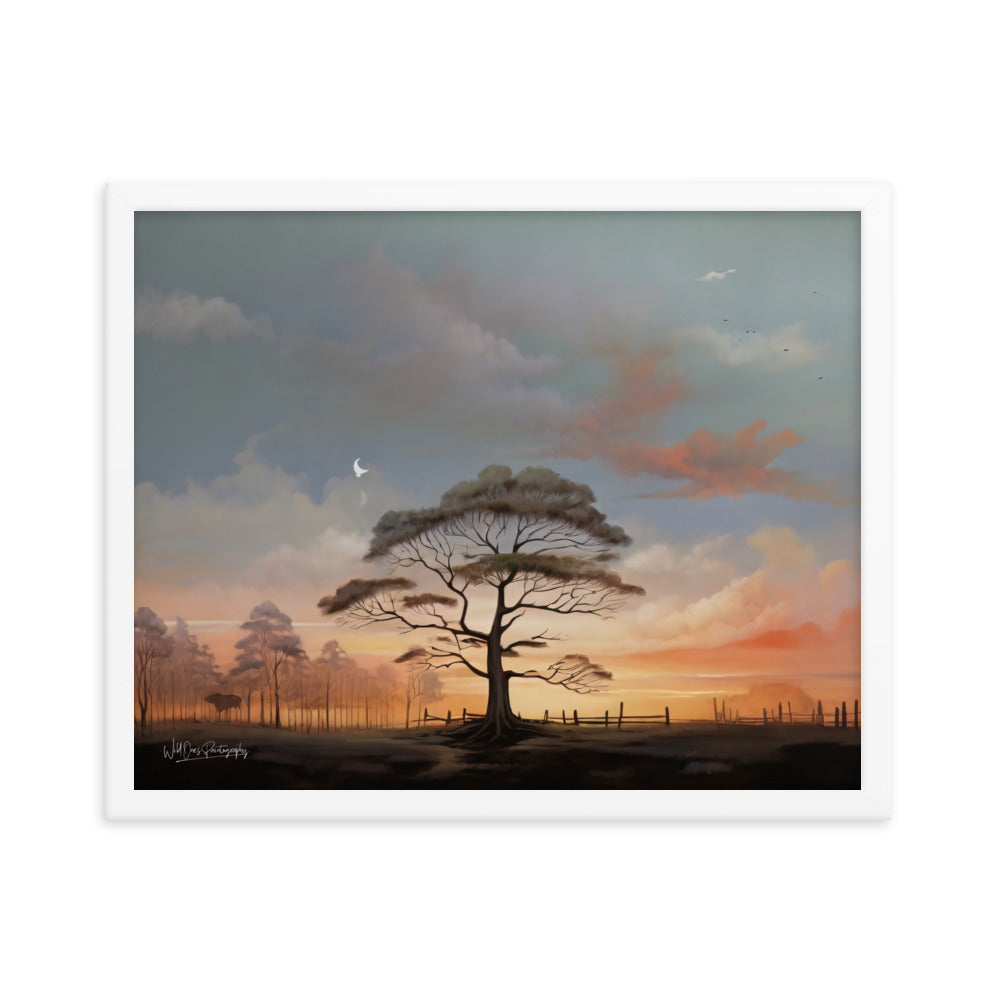 Solo Canopy Sunset - Framed Paintography
