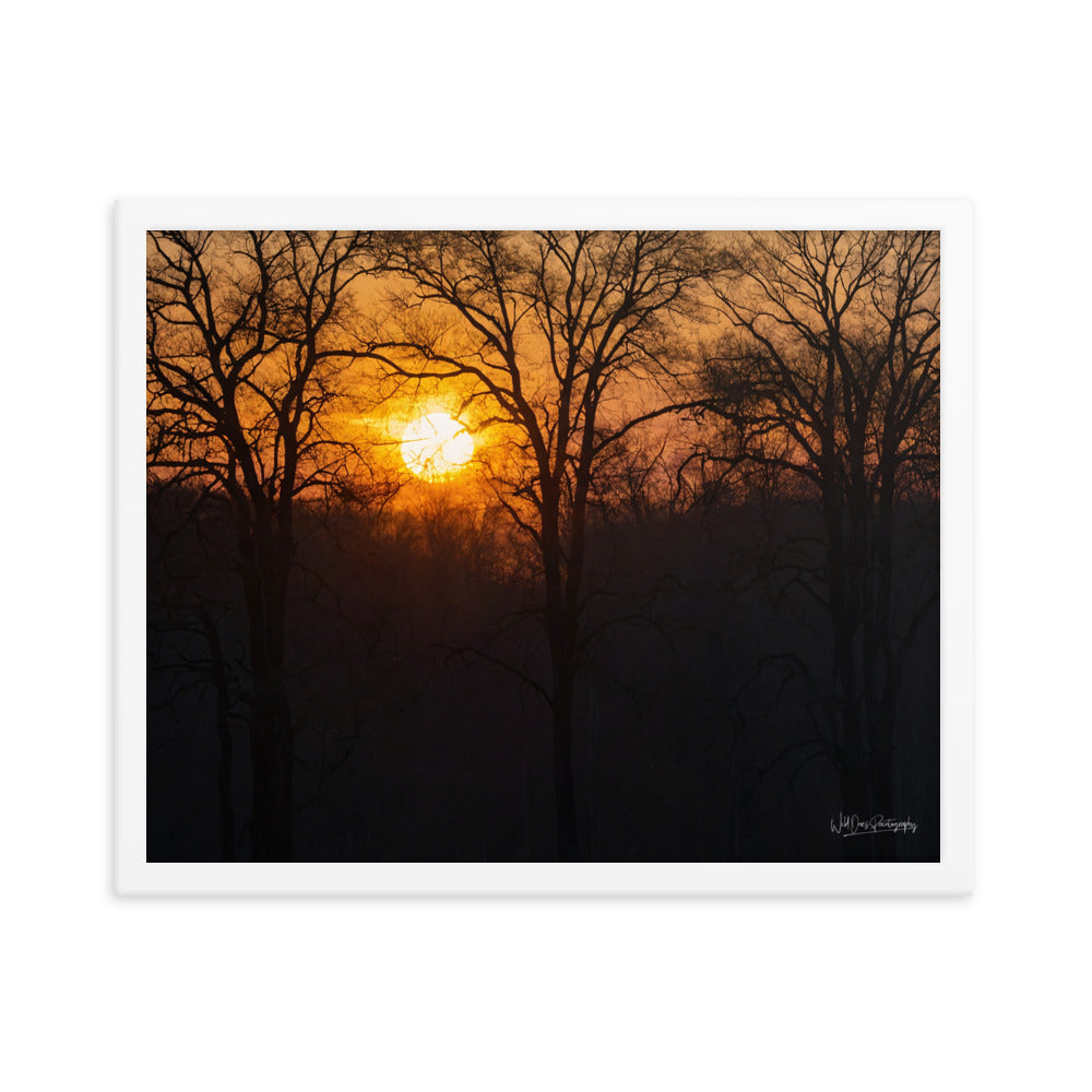 Setting Sun - Framed Paintography