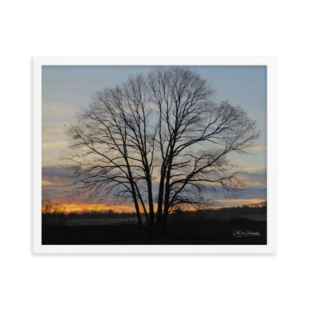 Setting Sun Tree - Framed Paintography