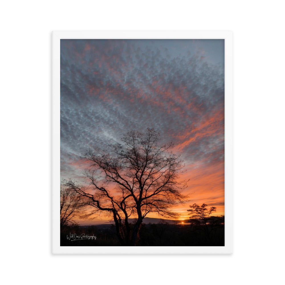 Scenic Sunset - Framed Paintography