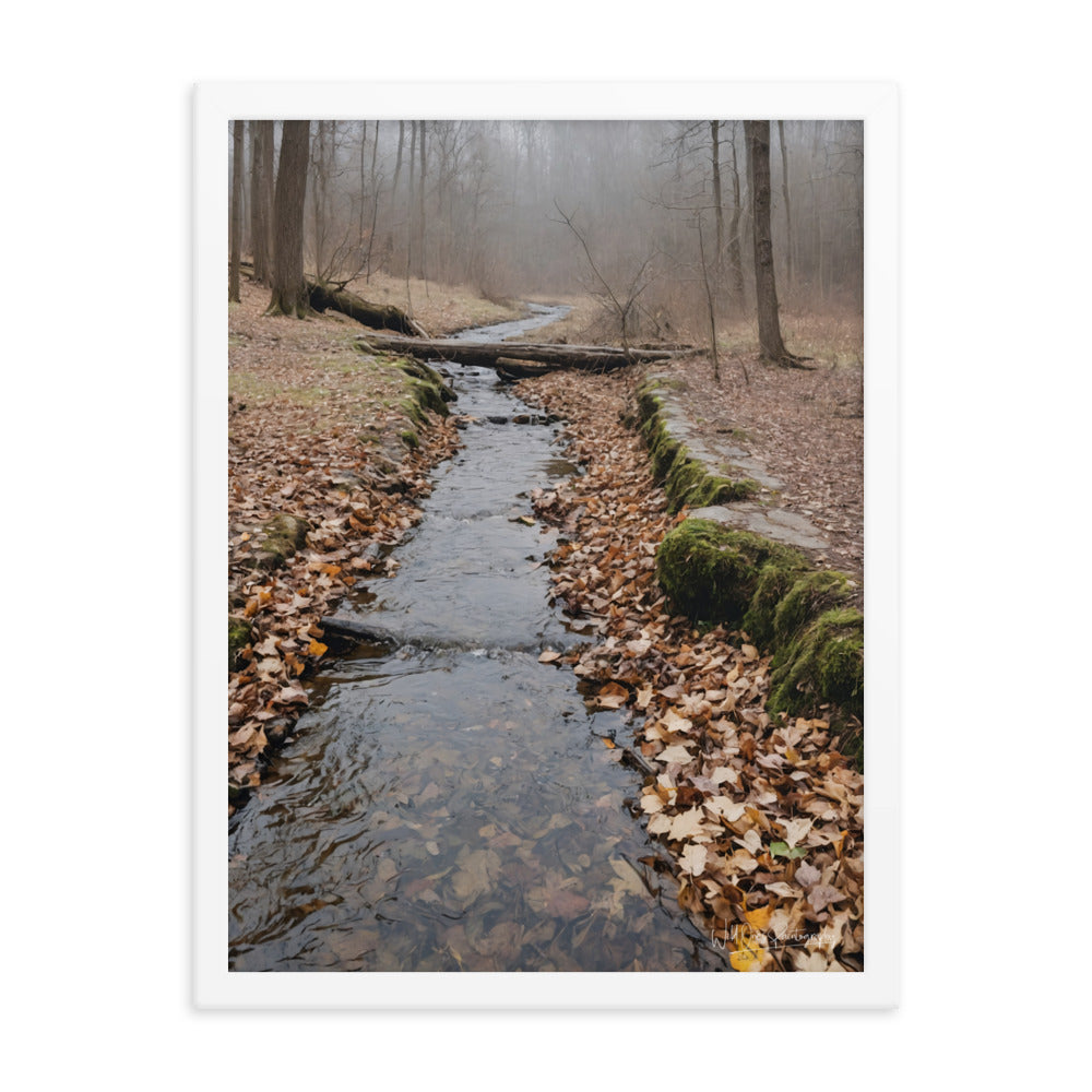 Woodland Stream - Framed Paintography
