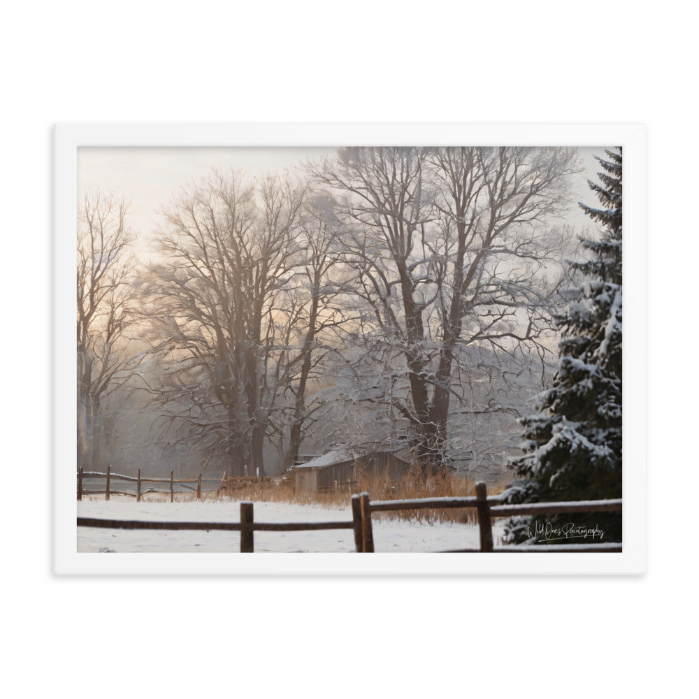 Winter Wonder Shed - Framed Paintography