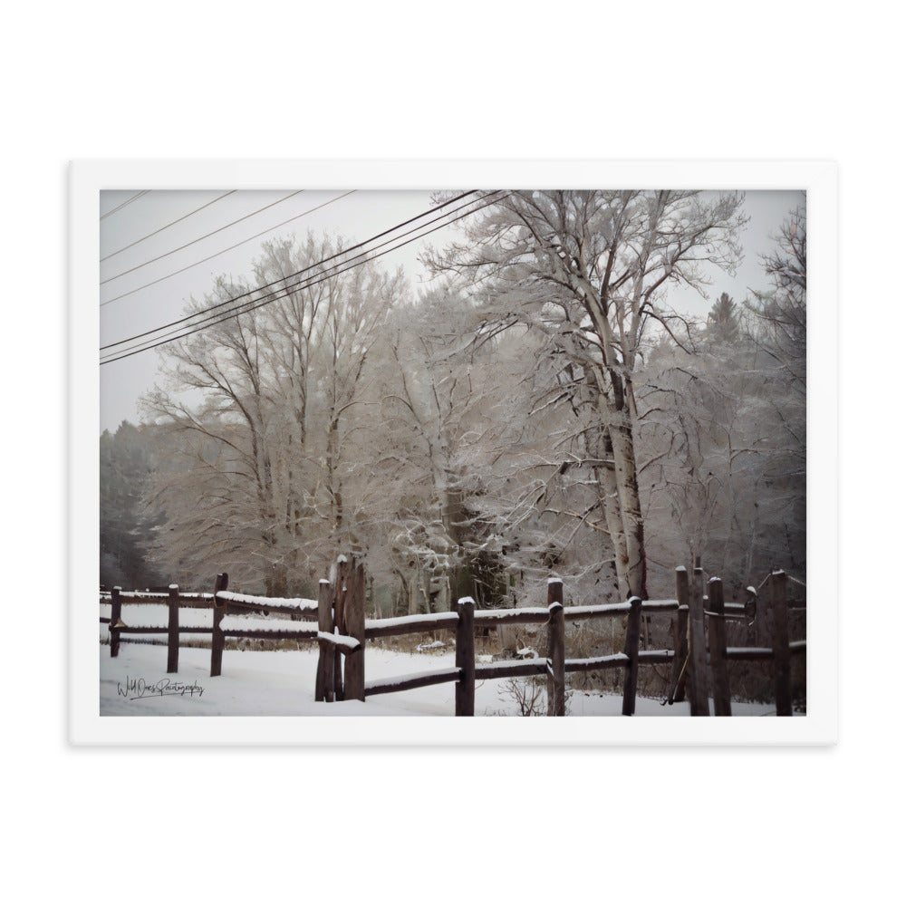 Winter Wonder - Framed Paintography
