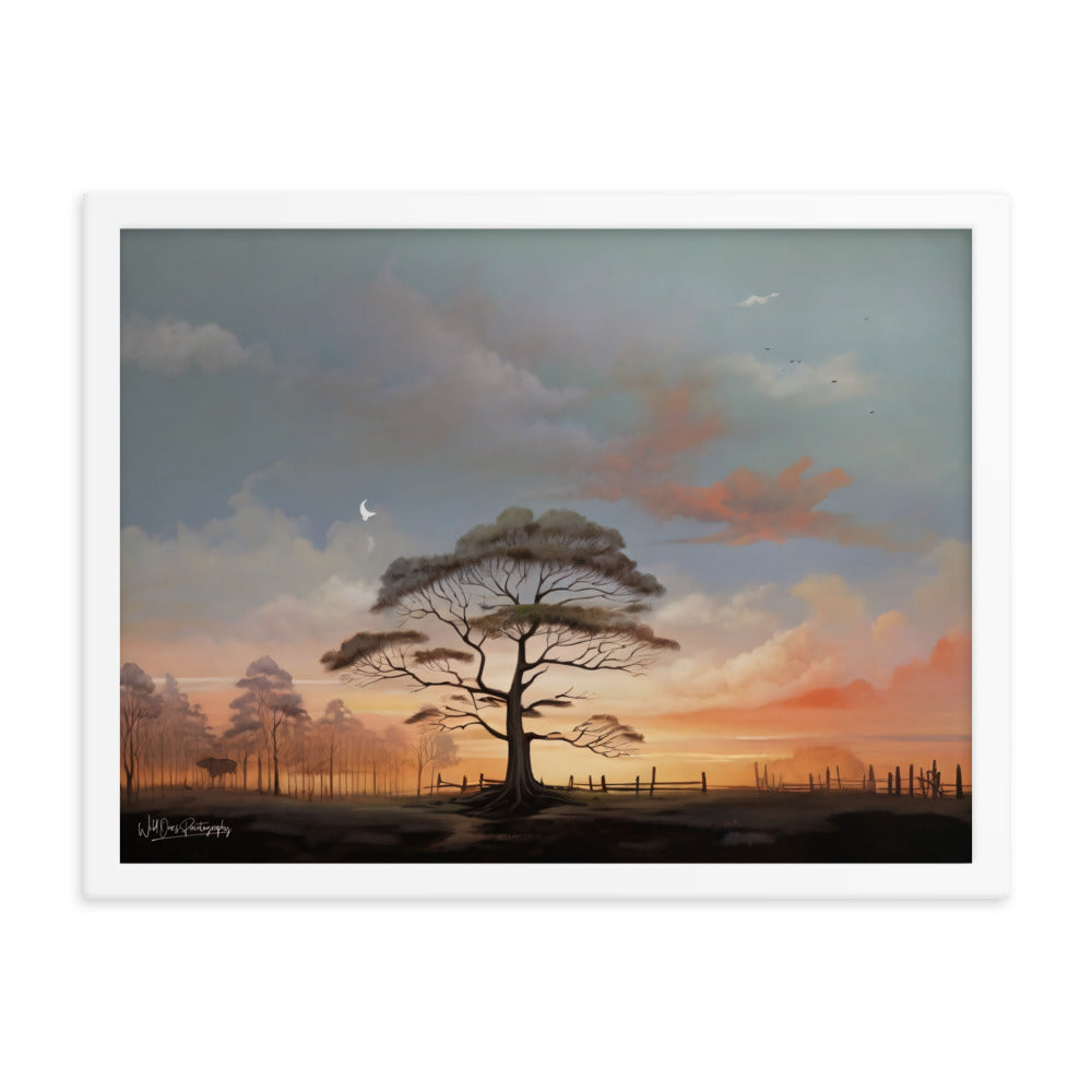 Solo Canopy Sunset - Framed Paintography