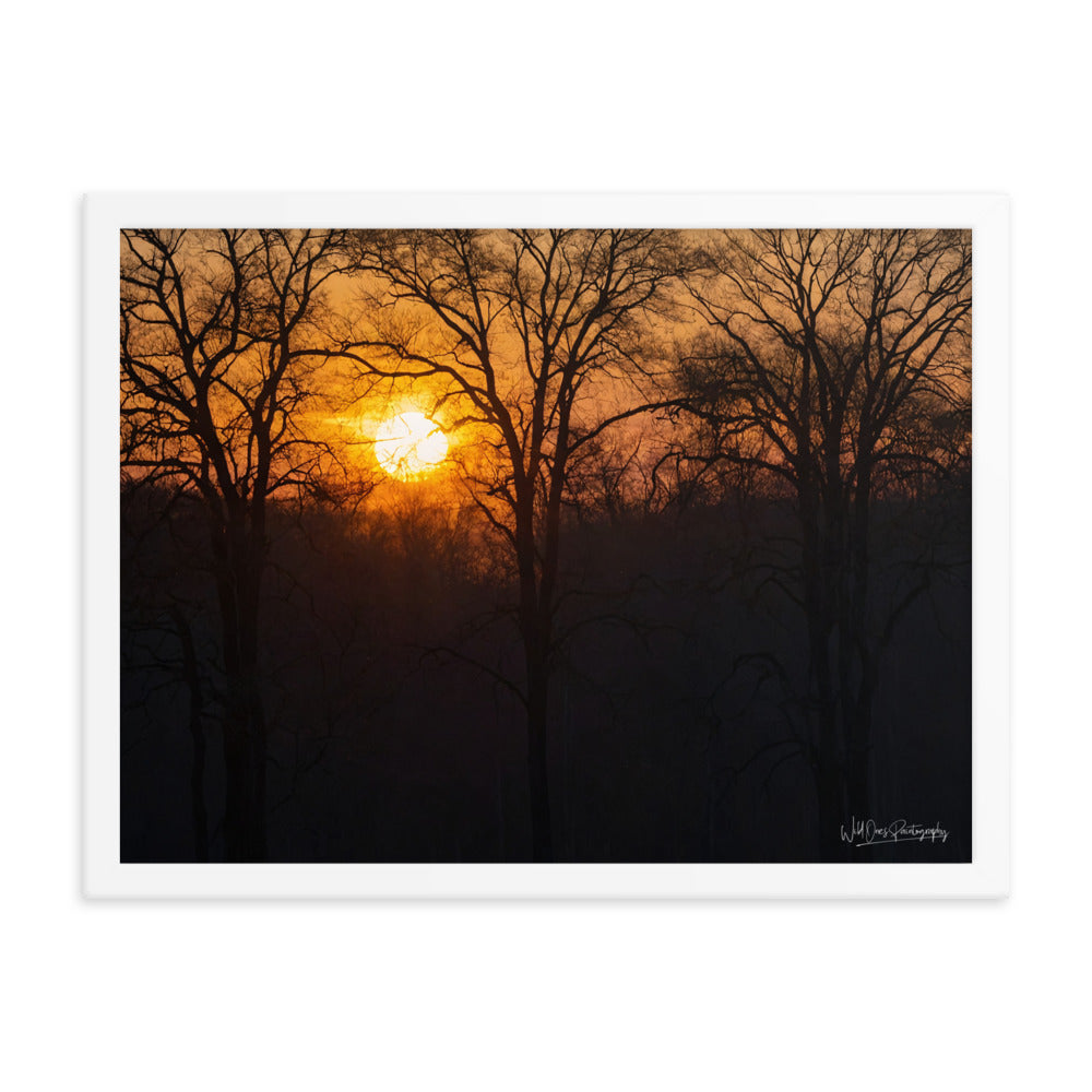 Setting Sun - Framed Paintography