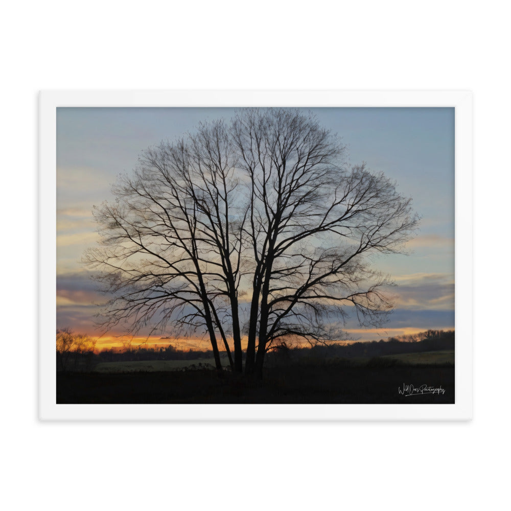 Setting Sun Tree - Framed Paintography