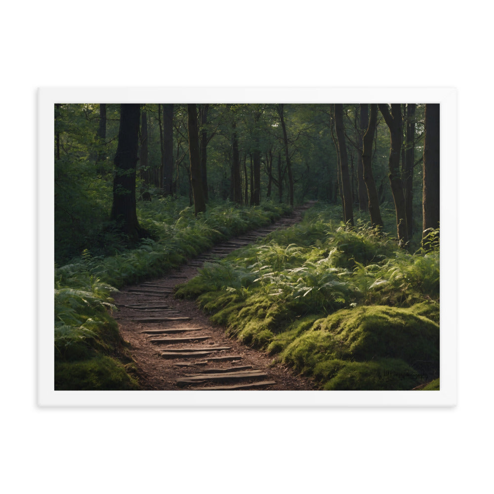 Nature's Forgotten Way - Framed Paintography