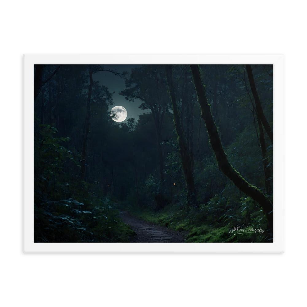 Moonlit Pathway - Framed Paintography