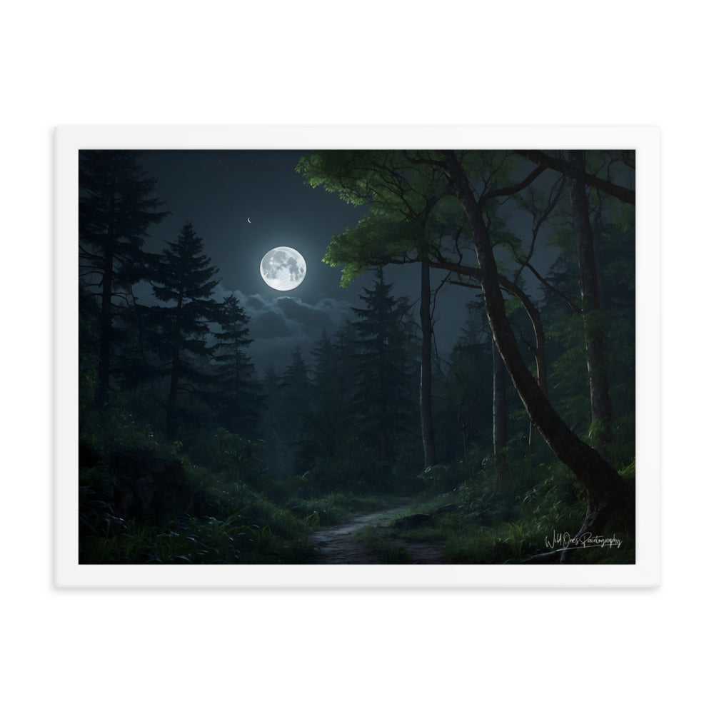 Moonlit Path - Framed Paintography
