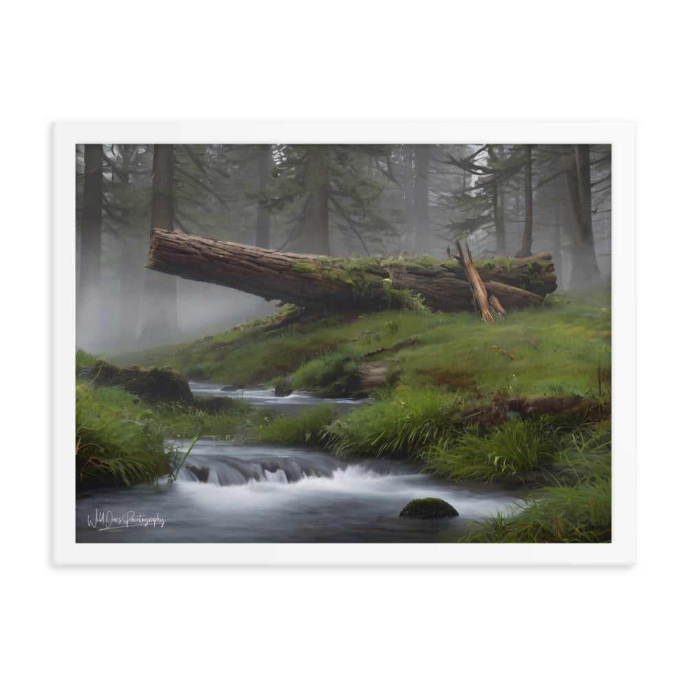 Enchanted Woodland Flow - Framed Paintography