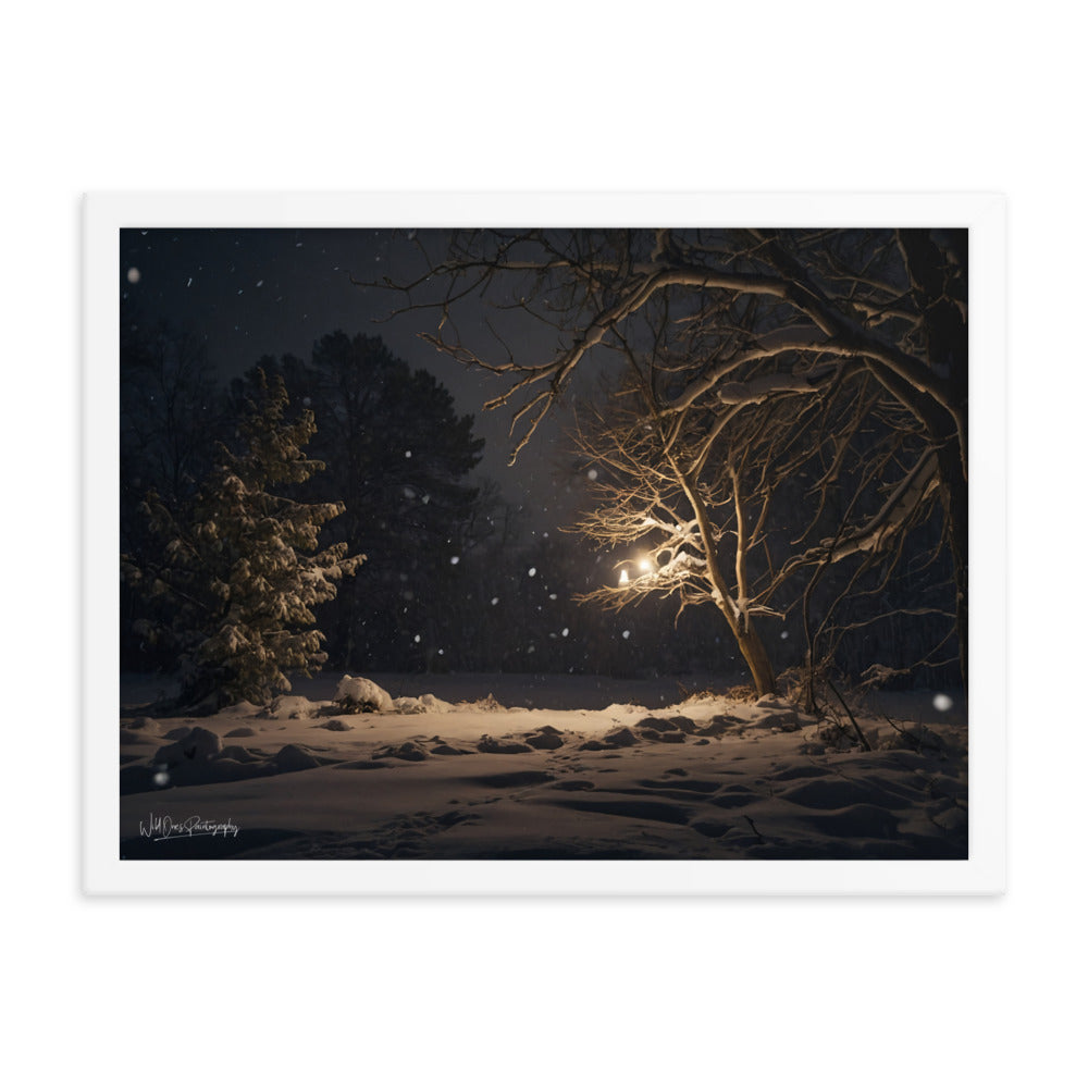 Midnight Snow - Framed Paintography