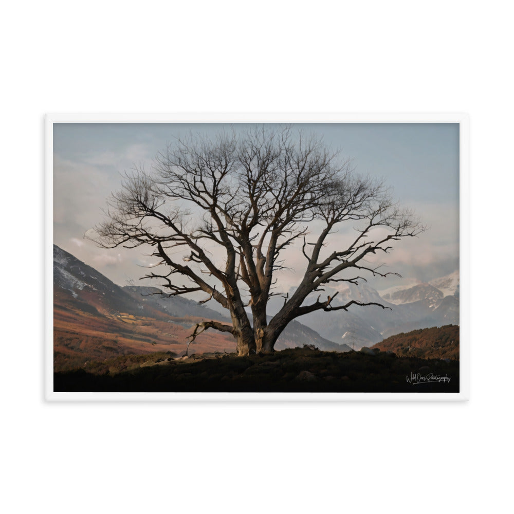 Withstand Time - Framed Paintography