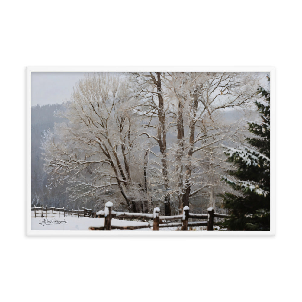 Winter Wonder Trees - Framed Paintography