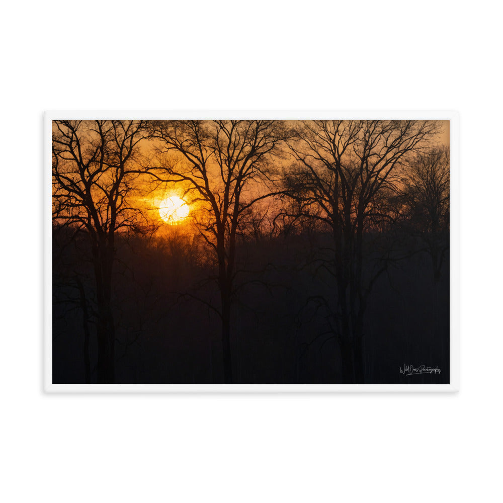 Setting Sun - Framed Paintography