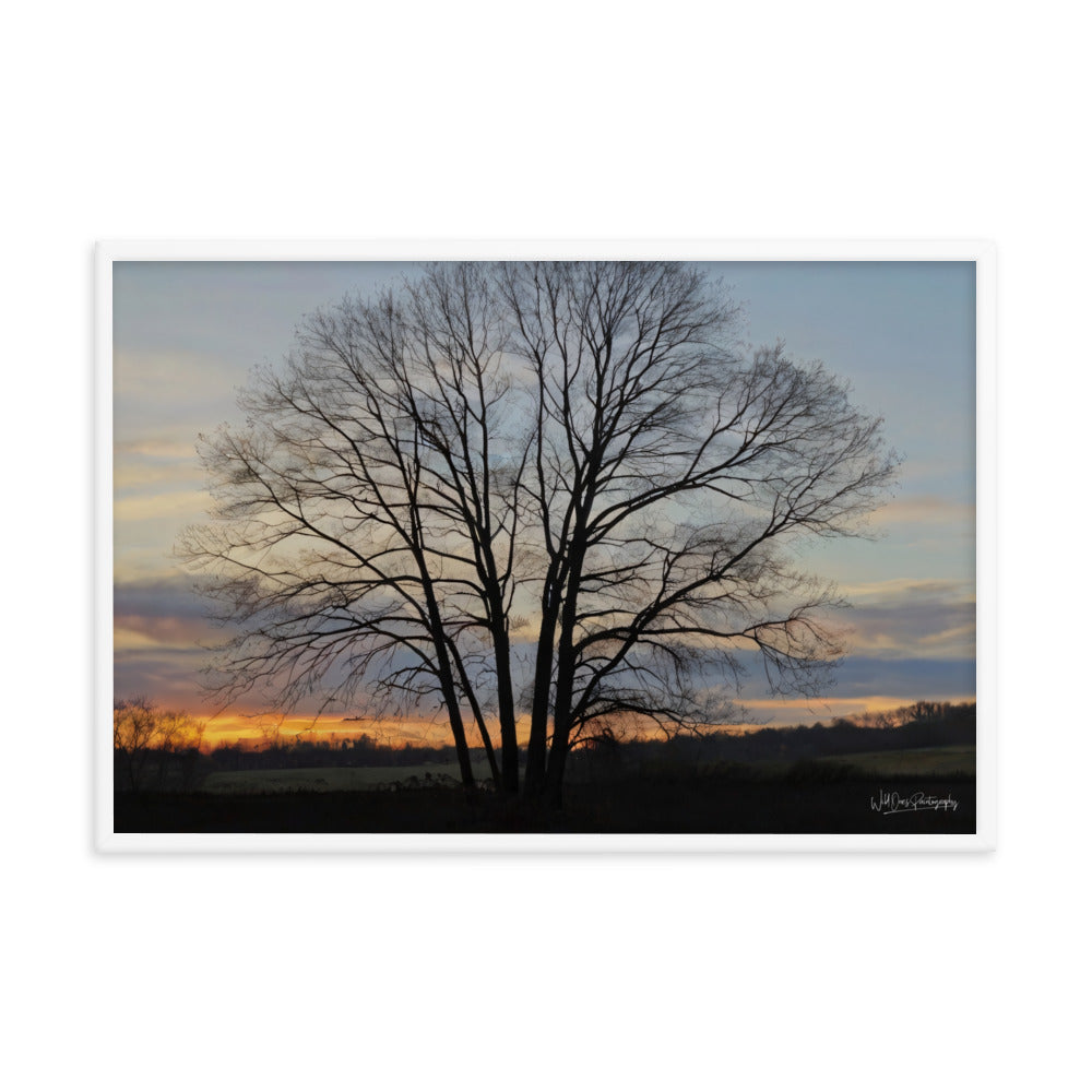 Setting Sun Tree - Framed Paintography