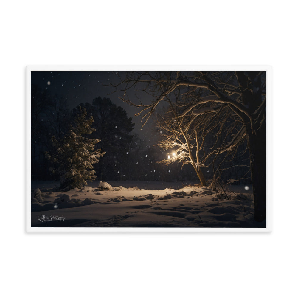 Midnight Snow - Framed Paintography